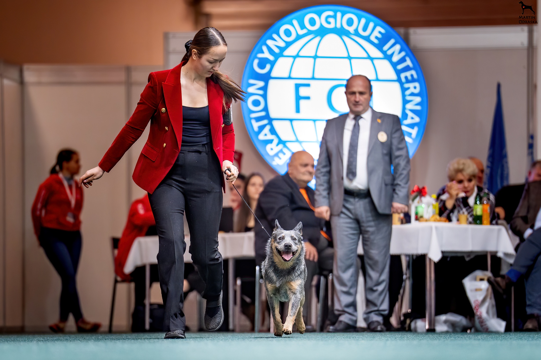 Special 2025 nitraDecBOB